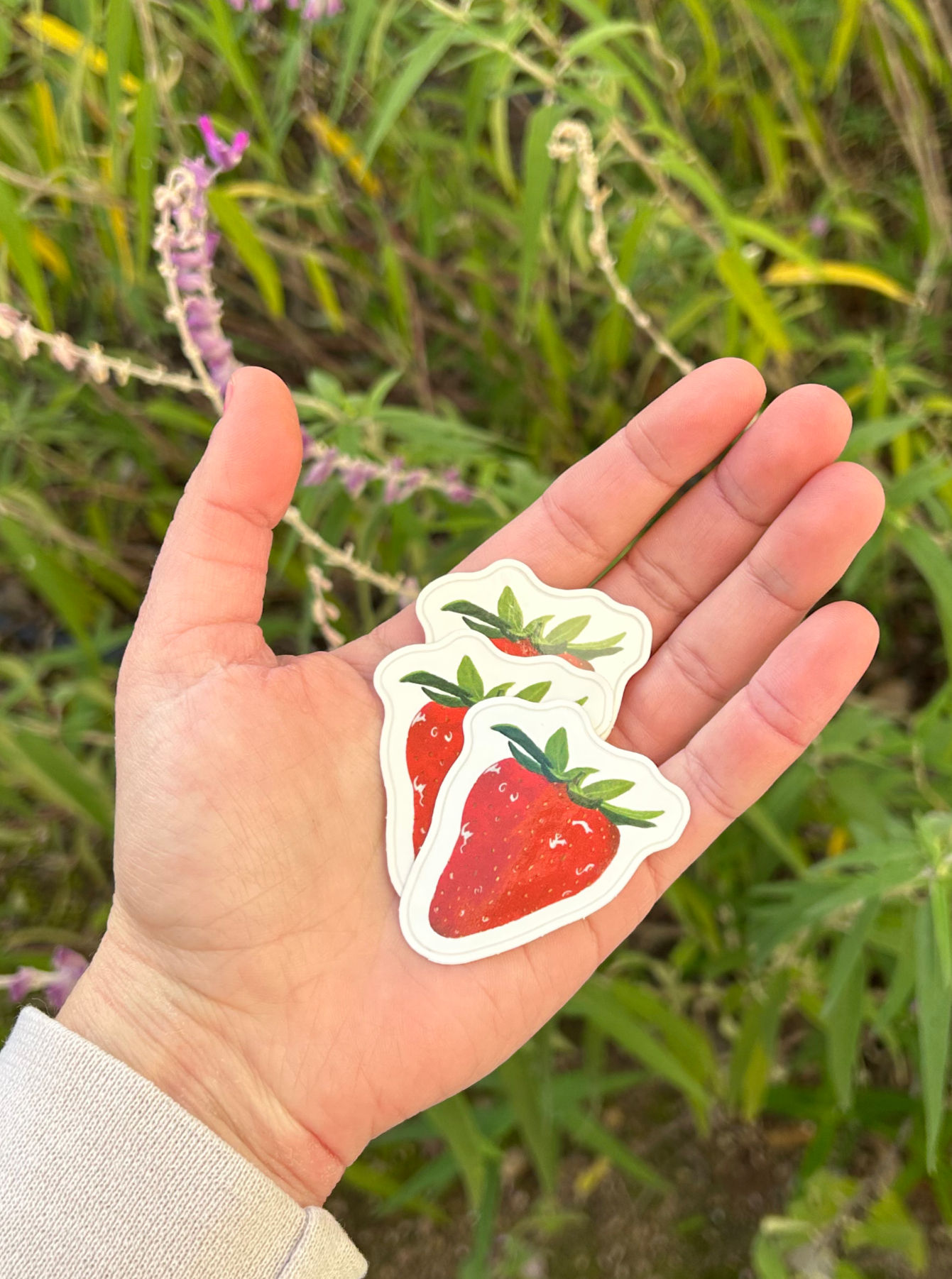 strawberry sticker