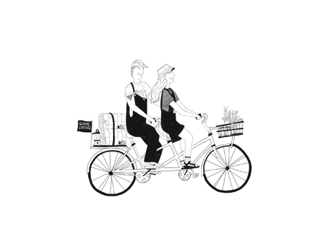 IMG_0650.PNG