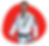 Gracie Barra South Miami 6