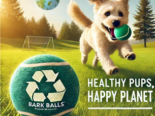 The Importance of Exercise and Fetch for Your Dog's Health