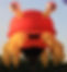 The Remix (N2646S) (1)_edited.jpg