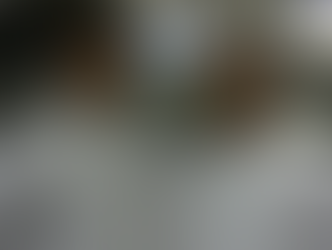 落合シェフディナーショー