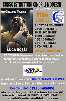 CORSO PISA 2026 copia.jpg
