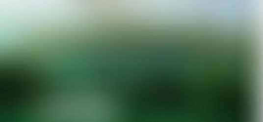 RAOs Report EDITION 1 (Newsletter)