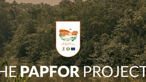 PAPFor: Support Programme for the Preservation of Forest Ecosystems in West Africa
