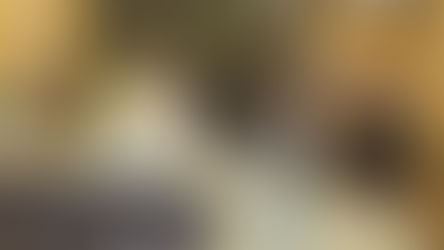 Strengthening the partnership between the United Nations and ECOWAS: The ECOWAS Commission welcomes a delegation from the United Nations