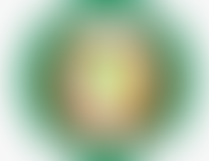 Virtual consultation on the ECOWAS Blue Economy Validation 