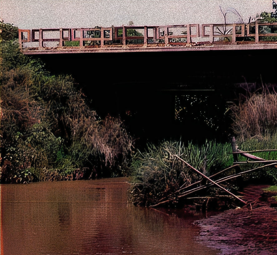 Veja - Rio Novo (1)_edited.jpg