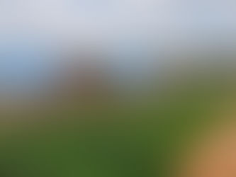 Covid-19: Ugandans left landless, homeless after evictions