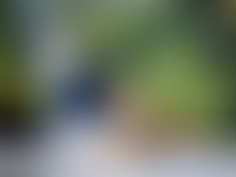 Dam Scams: Lessons from Uganda, Tanzania and Ghana
