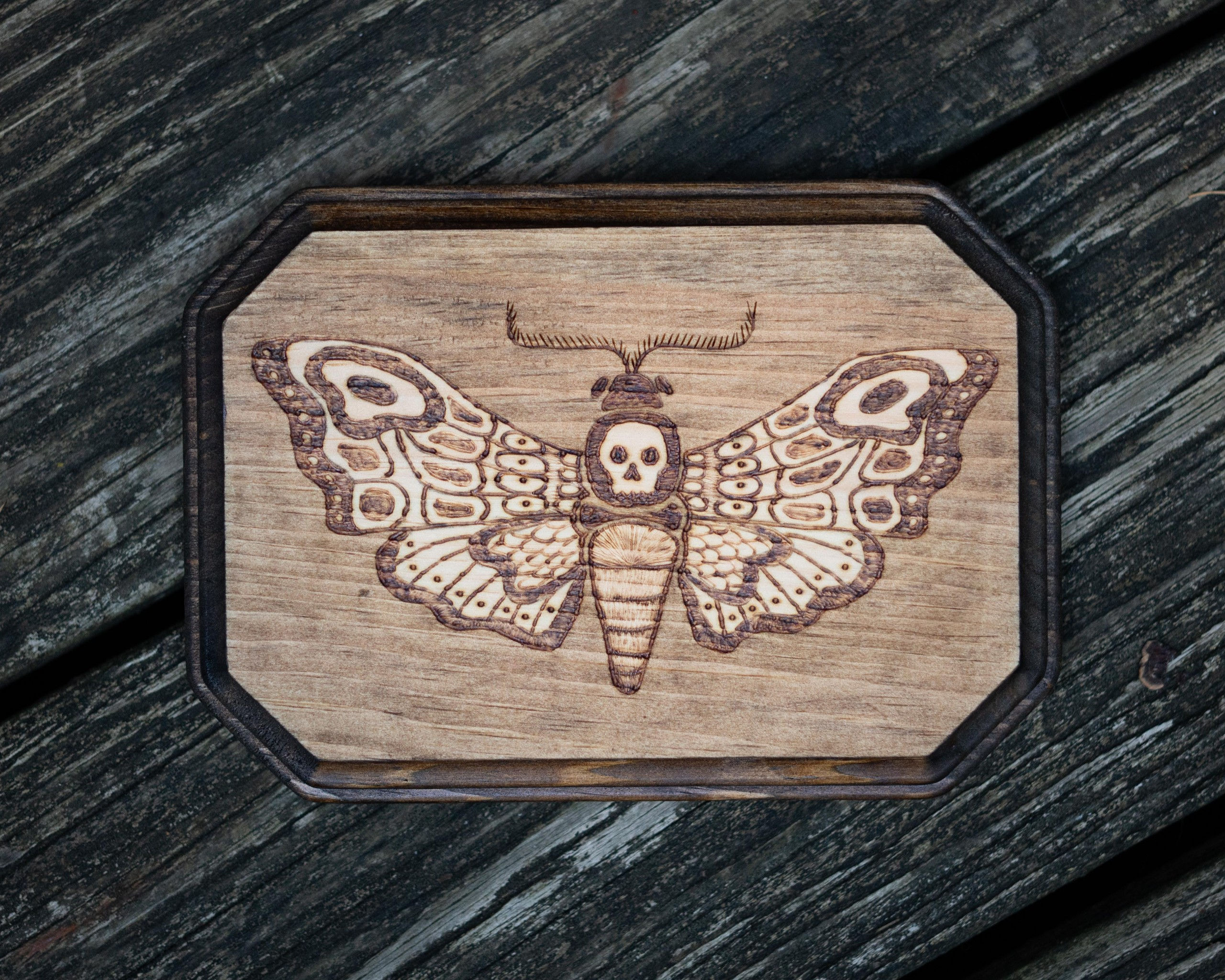 Death Moth