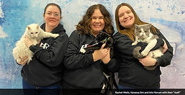 Therapy Cats Bring Joy and Support to Residents at Edmonton’s Centre of Hope