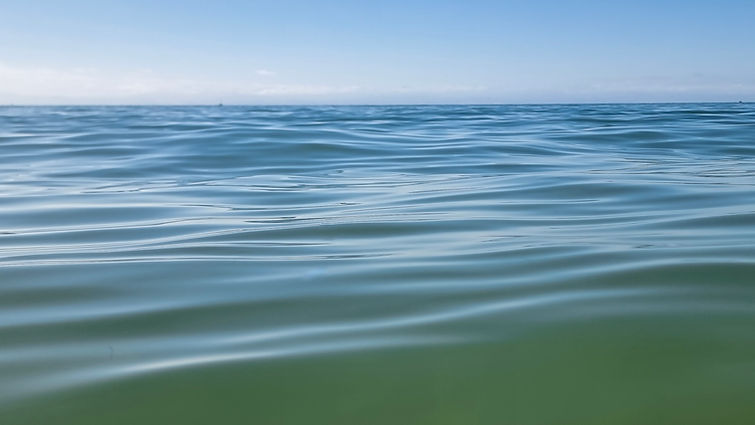 20260201_095705 (1) (1).jpg