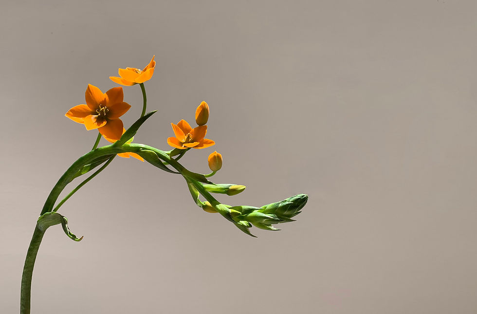 Clarté et prise de décision en leadership dans un environnement complexe
