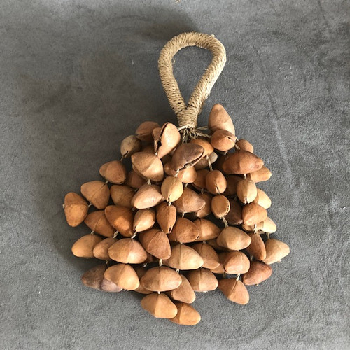 Terré XXL Seed Shaker Cha Cha Nut - Shaker Terré XXL Seed Shaker Cha Cha Nut - Shaker