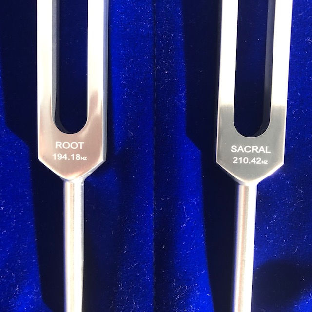 Thumbnail: 8 Weighted Chakra Tuning Forks Set