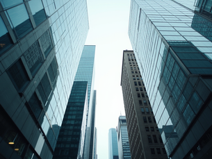 Understanding Global Risk Assessment for CEOs and Celebrities