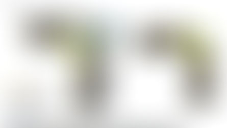 Design and validation of a wearable dynamometry system for knee extension-flexion torque measurement