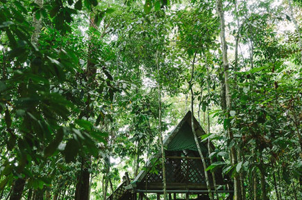 Treehouses-Malaysia-Thesmartlocal-3.jpeg