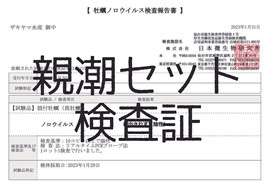 アセット 5-100.jpg