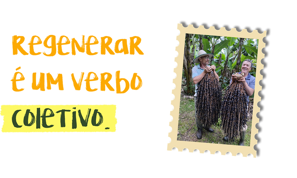 regenerar.png