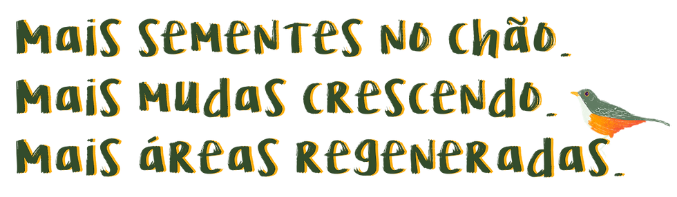 página - juçaras por aí (8).png
