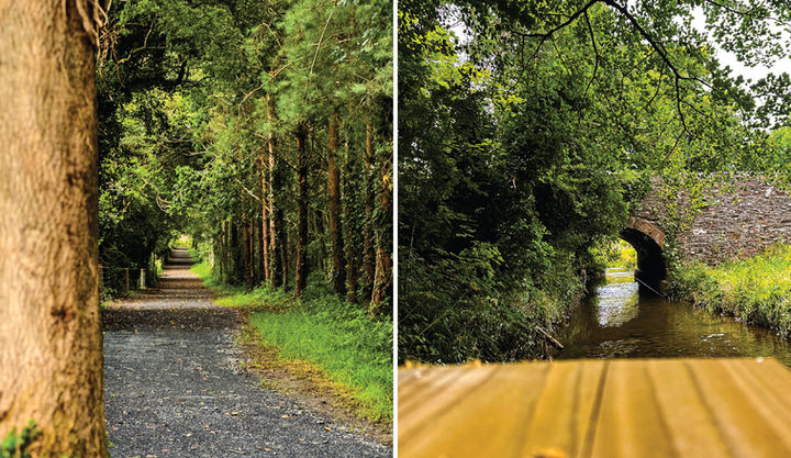 Tree-lined gravel path and stone bridge surrounded by dense woodland on the Parsonstown Estate nature trails.