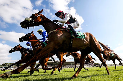 navan racecourse_edited.jpg