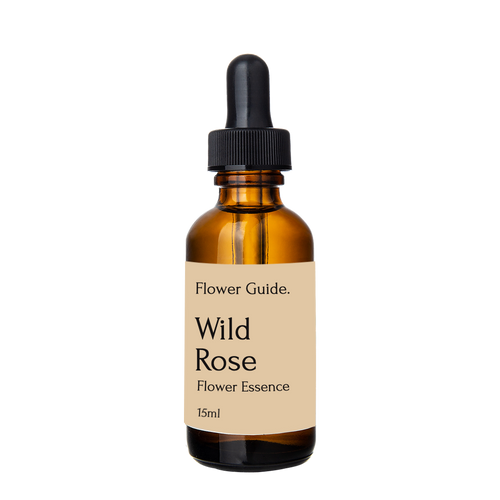 Wild Rose Bach Flower Remedy (15ml) Flower Guide