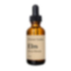Elm Bach Flower Remedy by Flower Guide