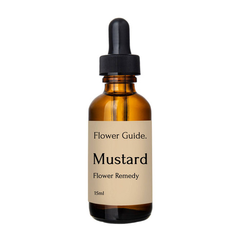 Mustard Bach Flower Remedy (15ml) Flower Guide