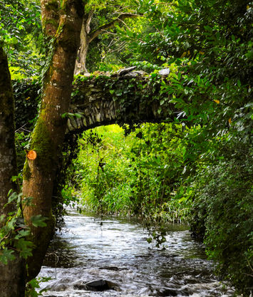 Stone arch bridge over a flowing river in the forest section of the Parsonstown Estate walking trails.