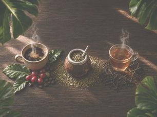Café,té y yerba mate