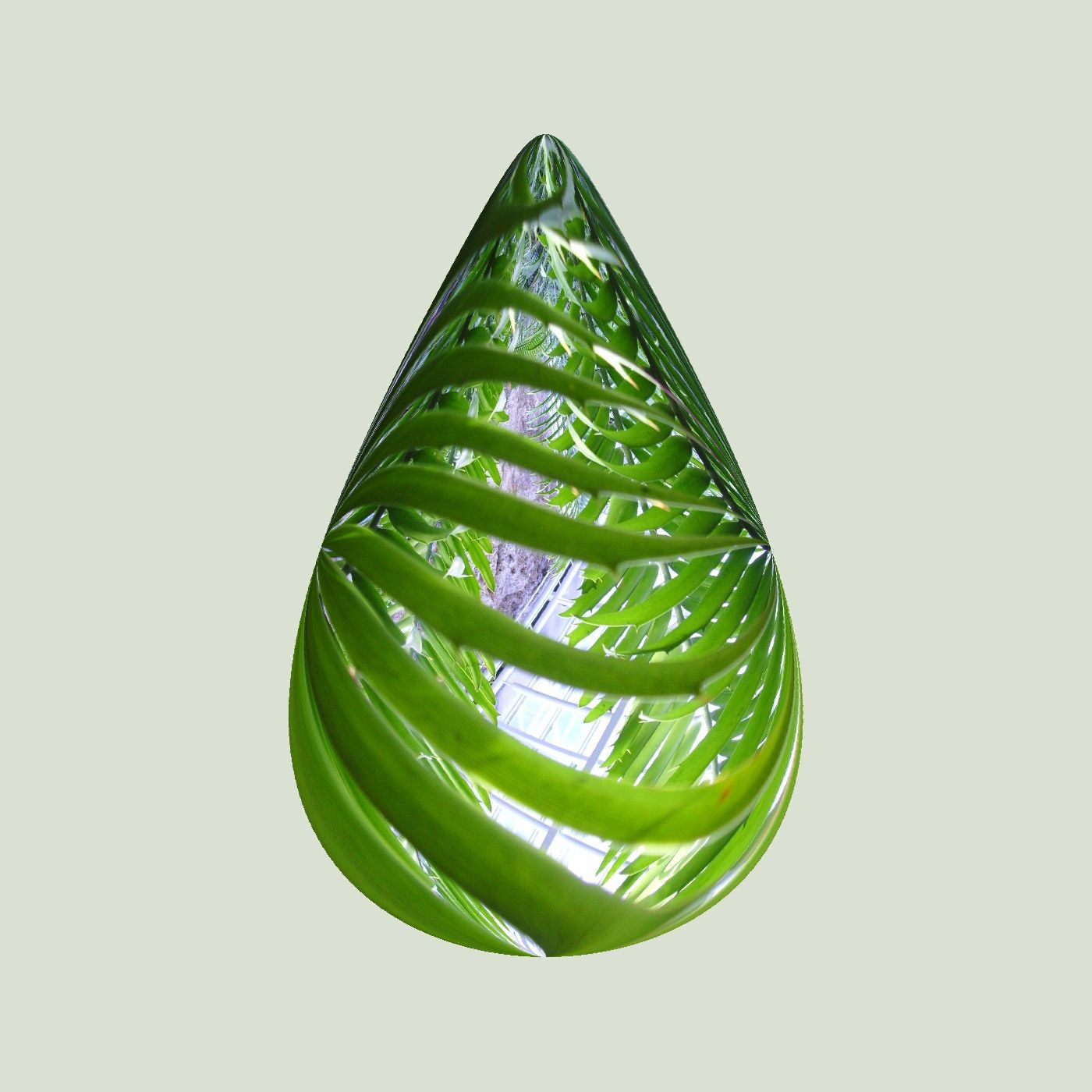 Leaves and plants in Drops Photography