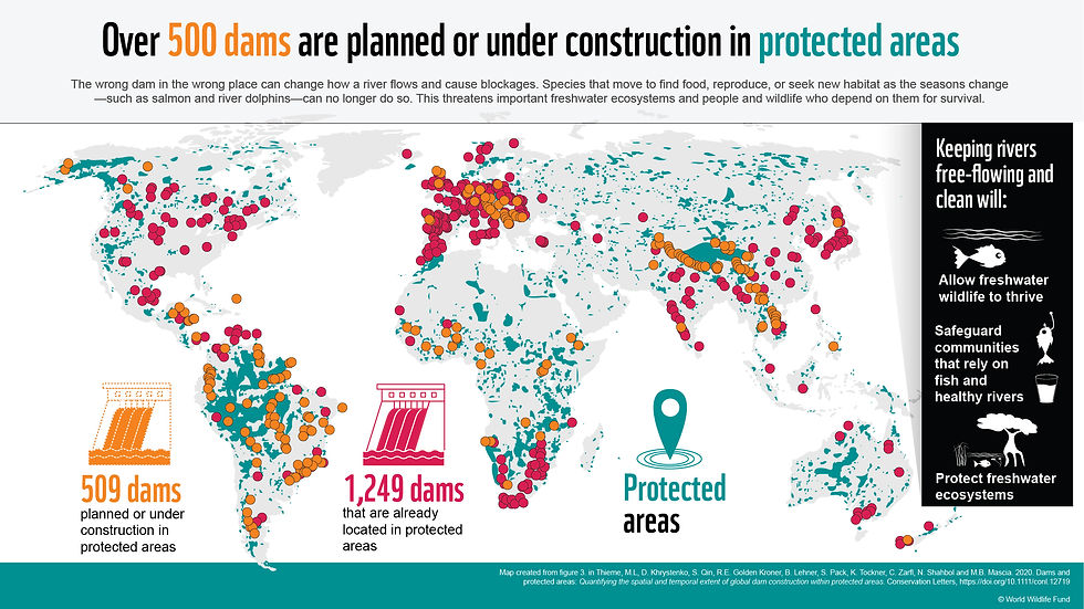 dams protected areas