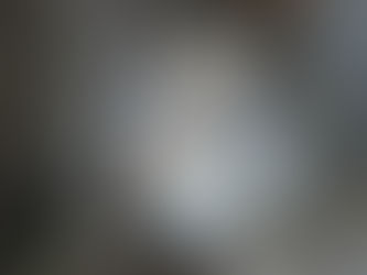 The Fall and Rise of the American Grey Wolf