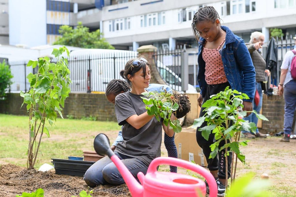 Community gardening day in London. Photo: CLEVER Cities (supplied)