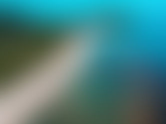 Great Barrier Reef Should Be Listed as Endangered, UN Says. Australia Disagrees