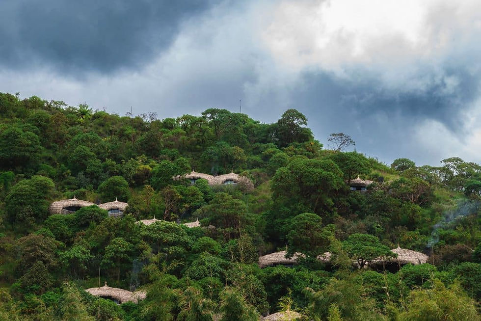 Wilderness Destinations Bisate Lodge rooms; Volcanoes National Park Ruhengeri, Rwanda