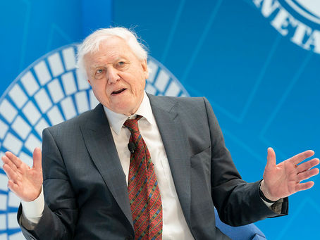 15 Inspiring David Attenborough Quotes on Nature, Wildlife and Climate Change