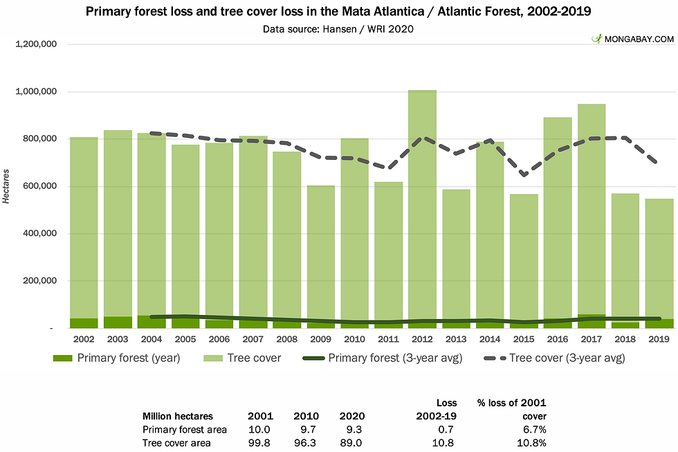 atlantic forest