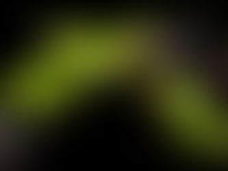 How Can We Protect Hong Kong Snakes From Industrial Development?