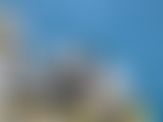 Maine’s Puffin Population Are Doing “Strikingly Poor”