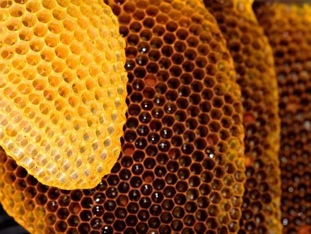 The Role of 3D Printed Solutions in Combating the Climate Crisis