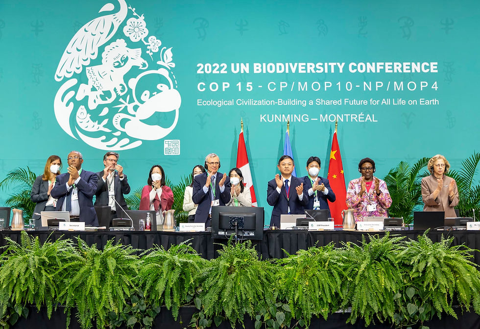 cop15 deal; cop15; UN biodiversity conference