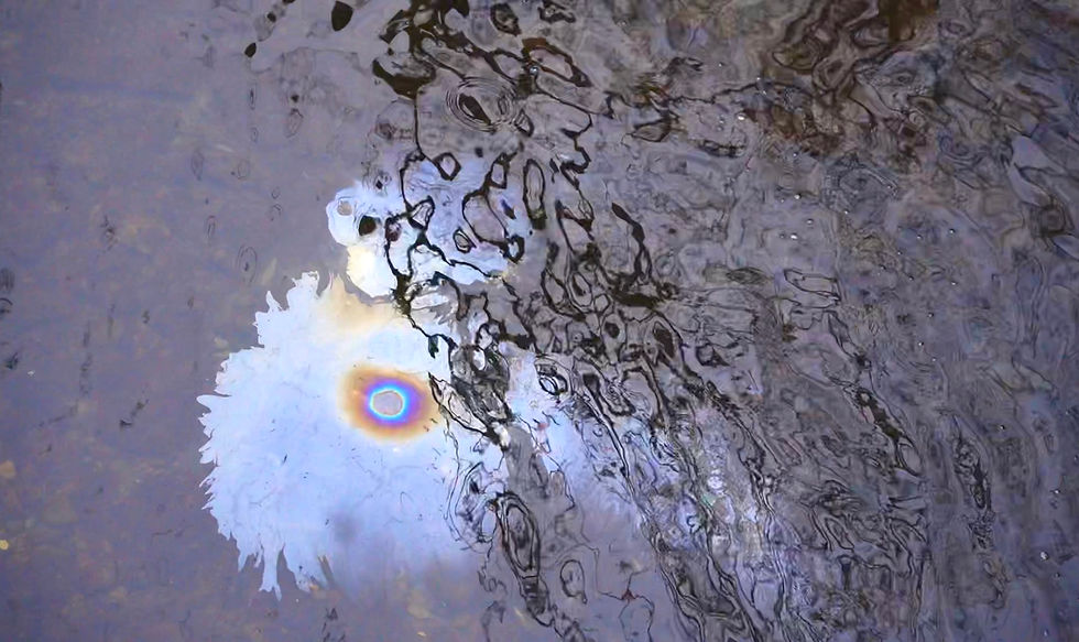 Norfolk Southern’s Ohio Derailment; oil spill east palestine