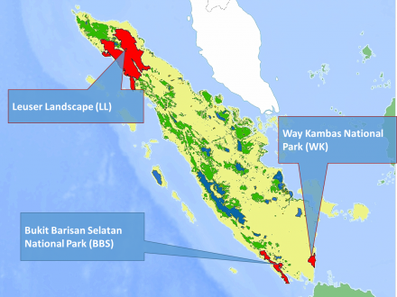 sumatran rhino sanctuary