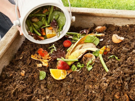 California to Launch Largest Food Waste Recycling Programme in the US
