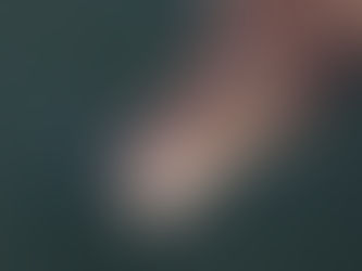 North American River Otter Spotted in Detroit River in First Sighting in 100 Years