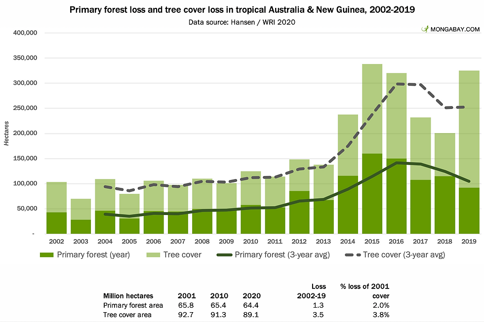 world rainforests australia